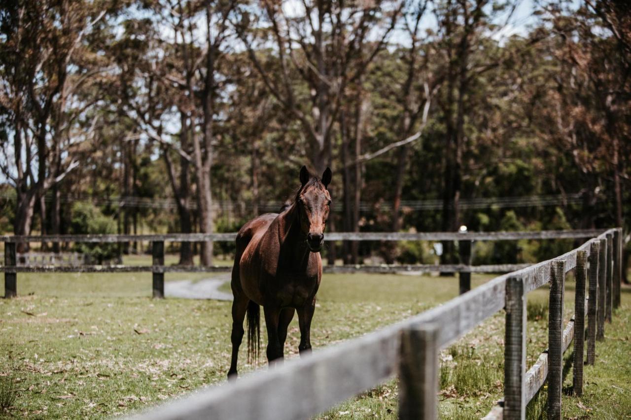 Hotel Worrowing Jervis Bay Huskisson Zewnętrze zdjęcie