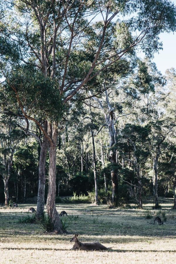 Hotel Worrowing Jervis Bay Huskisson Zewnętrze zdjęcie