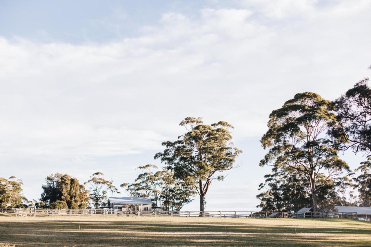 Hotel Worrowing Jervis Bay Huskisson Zewnętrze zdjęcie